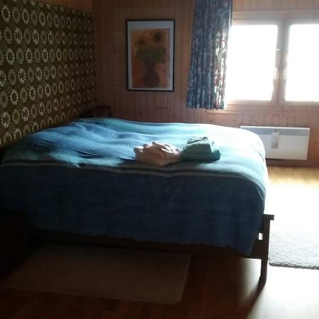 Walser Chalet Casa Paterna Disentis Kültér fotó